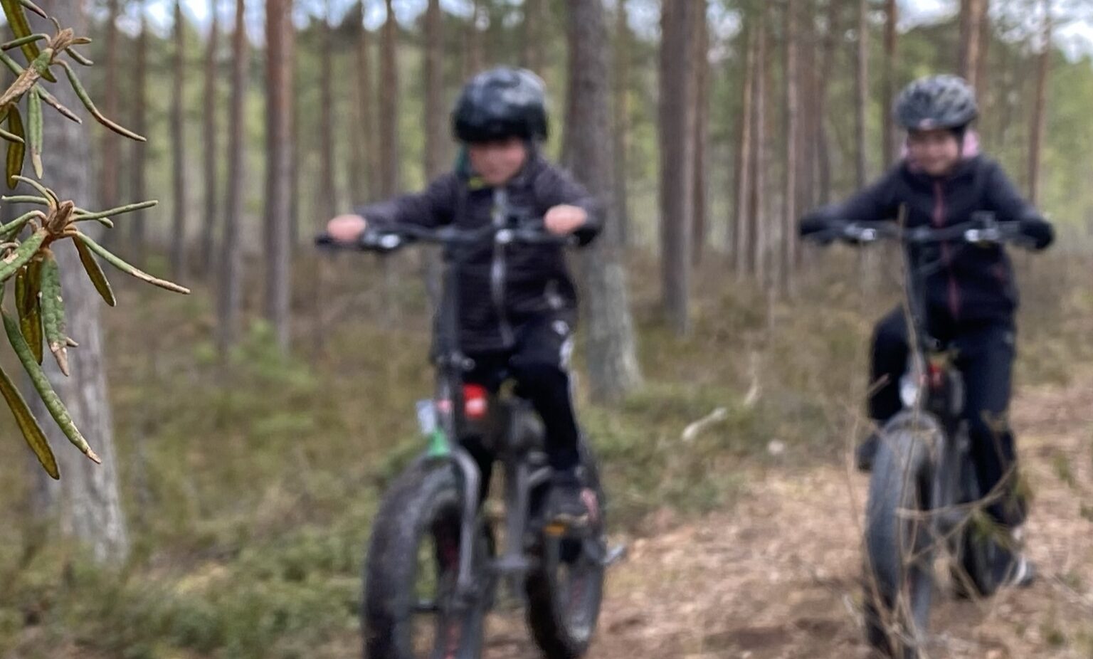 Paloniittyhuvilat luistelu jäällä